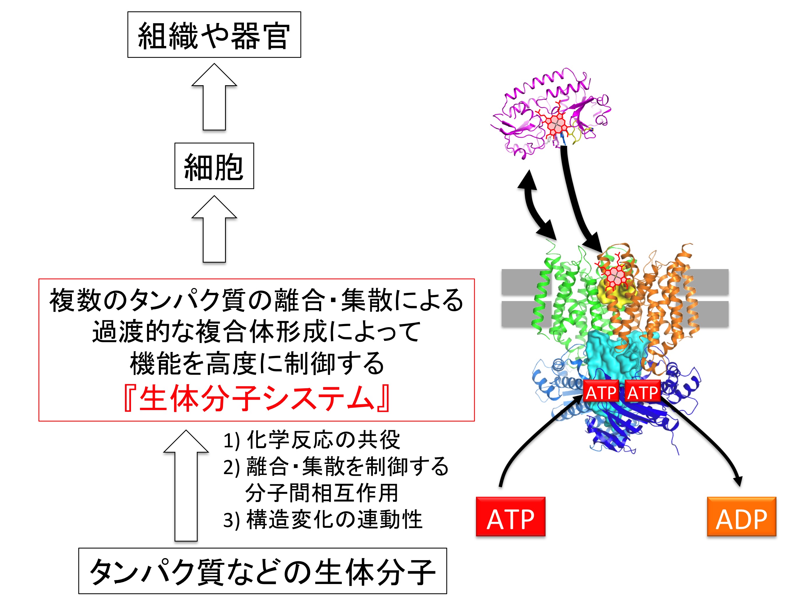 図2ver4