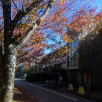 奈良女子大学「学生と企業の交流会」が開催されました(11/6)