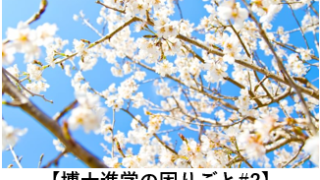 【博士進学の困りごと#2】卒業できるのか…？