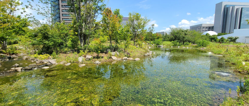 4a097cf533b1221e554111ee984c107d 【C-ENGINE研究インターン詳細事例vol.25】アメリカ版生物多様性評価ツールのケーススタディと日本での適用検討 C-ENGINEでこれまで実施された研究インターンシップ、様々なグッドプラクティスが報告されています。その中で、C-ENGINE事務局が、参加した学生・指導教員・企業担当者の声を、インタビュー記事として詳細事例にまとめました。