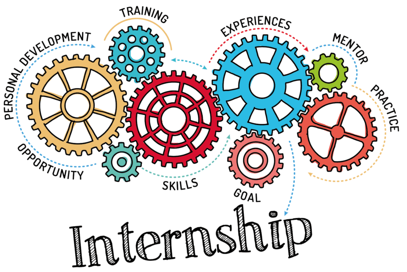 質の高いインターンシップ